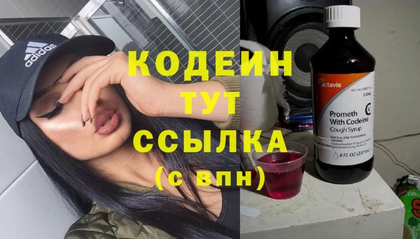 не бодяженный Арсеньев