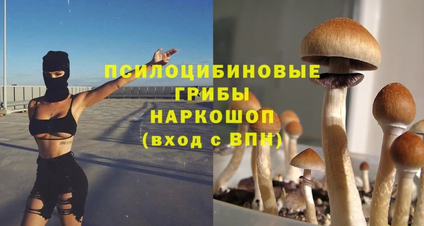 стаф Балахна