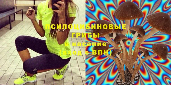 не бодяженный Арсеньев