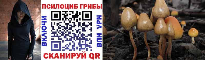 Псилоцибиновые грибы GOLDEN TEACHER  маркетплейс официальный сайт  Борисоглебск 